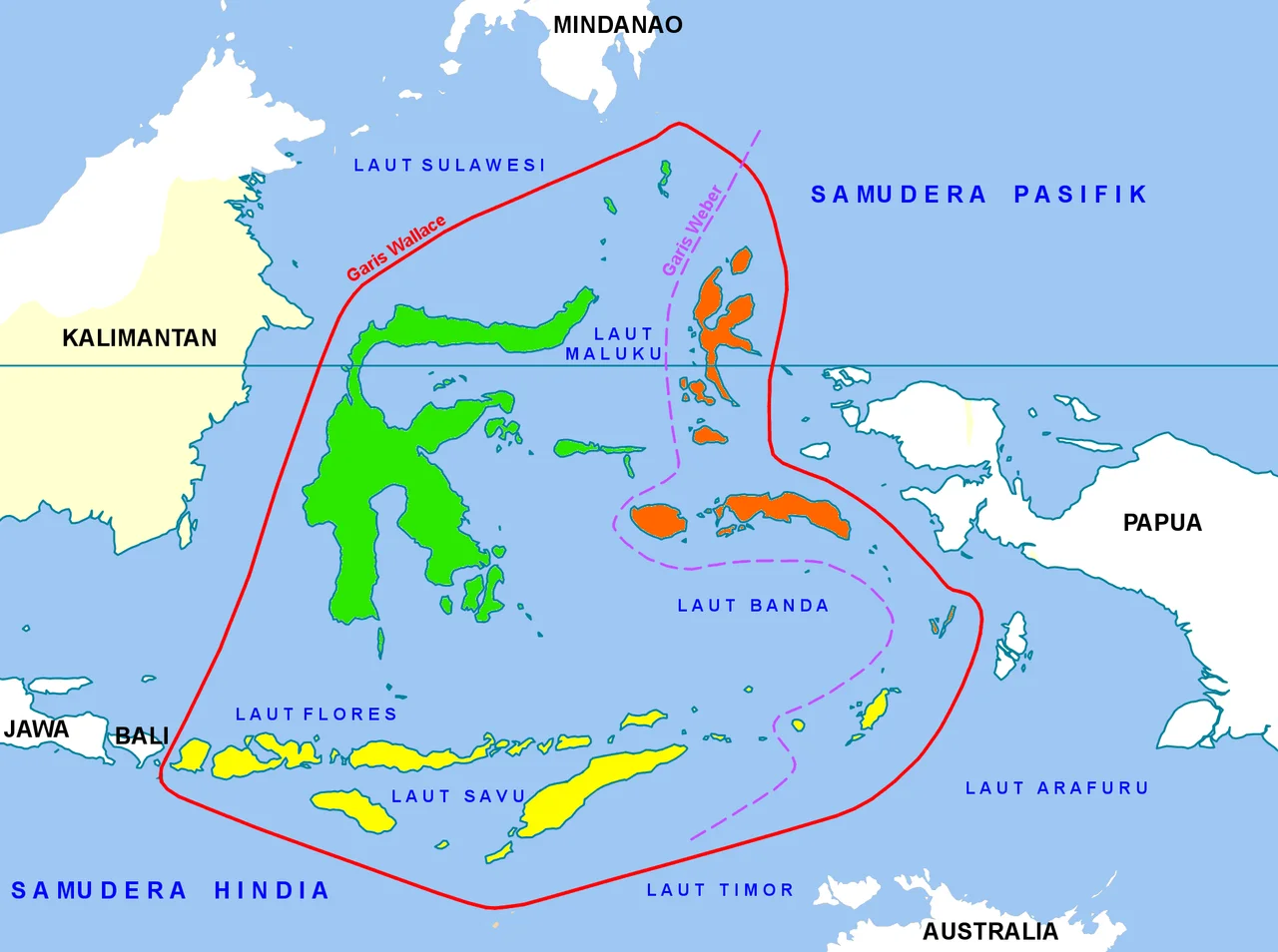 Subkawasan dalam biogeografi kawasan Wallacea
Subkawasan Sulawesi: Pulau Sulawesi, Kepulauan Talaud, Sangihe, Togian, dan Sula
Subkawasan Maluku: Pulau Morotai, Halmahera, Bacan, Obi, Buru, Ambon, dan Seram
Subkawasan Nusa Tenggara: Pulau Lombok, Sumbawa, Flores, Sumba, Timor, dan Kepulauan Tanimbar