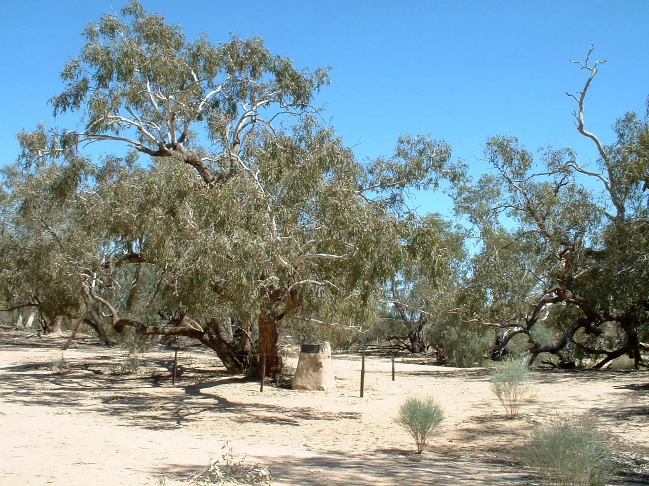 Memorial marking the site of Robert O'Hara Burke's death, on Burke Waterhole, Coopers Creek, South Australia.