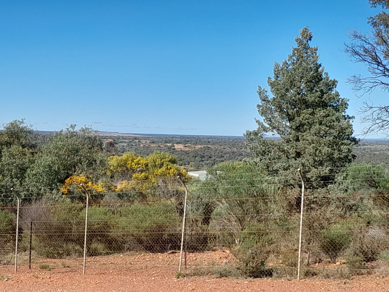 Cobar, NSW - View from Fort Bourke Hill, over former site of Dapville & Wrightville (Aug 2024). The headframe of the Chesney mine is visible on the left, and the view is looking toward the New Occidental mine. The tailings heaps of the mine are visible in the distance, behind the Chesney headframe. Wrightville and Dapville were former mining villages that are now uninhabited parts of Cobar.