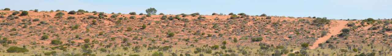 Simpson Desert Regional Reserve travelling the French Line