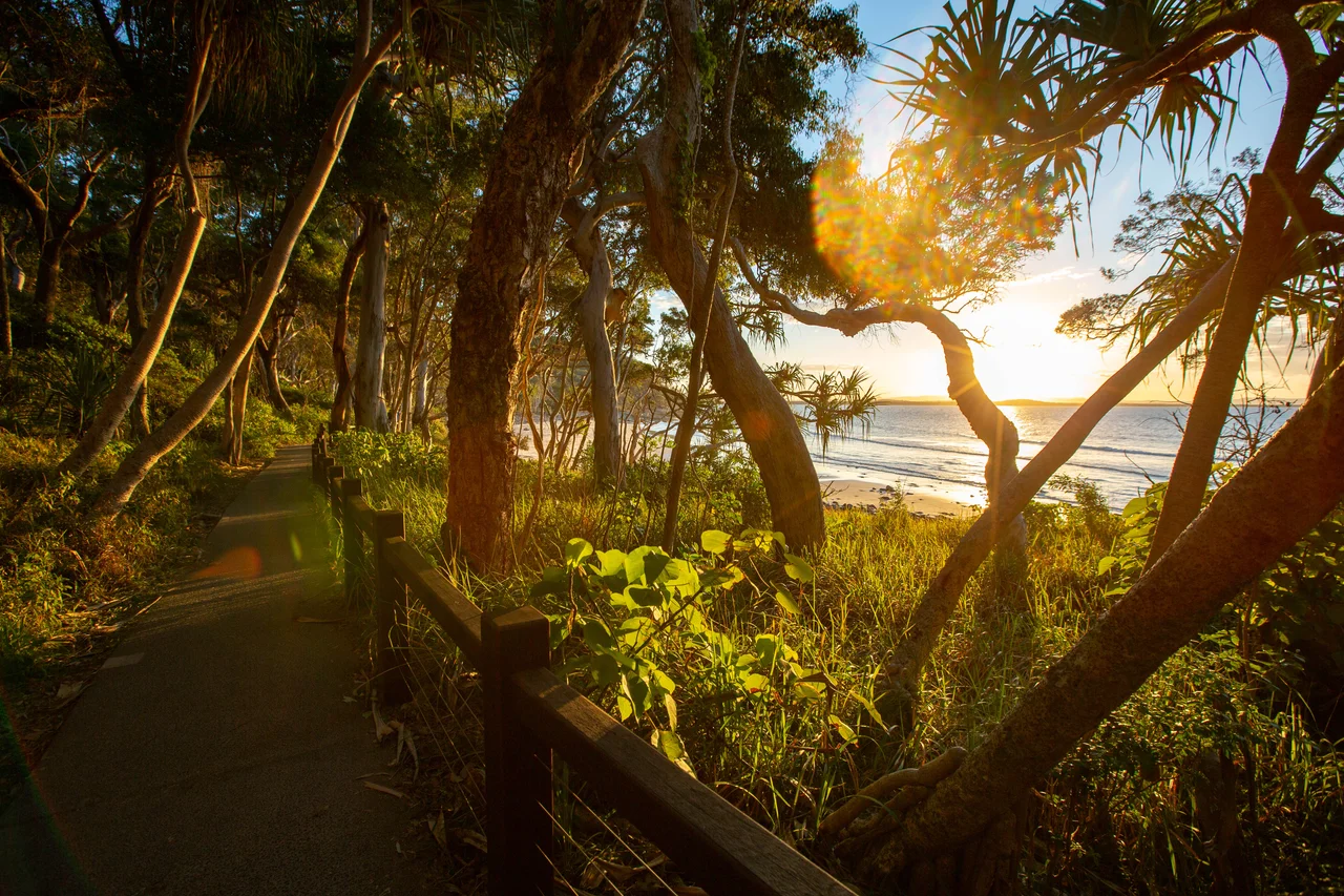 The beach along Noosa headlands, Queensland. Only accessible by foot. Photo by Raffi Kojian.