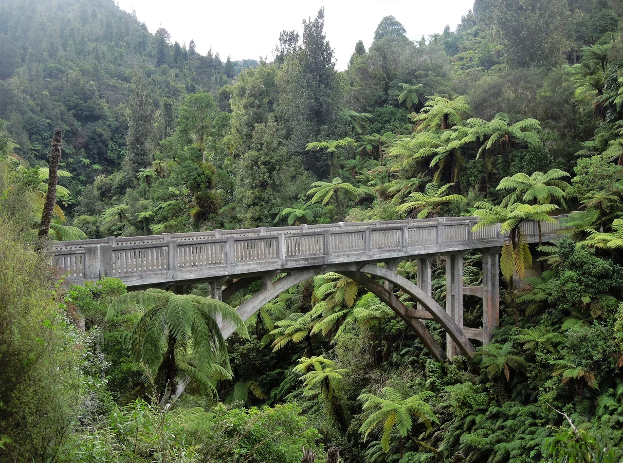 The Bridge to Nowhere in Whanganui National Park.
The fern trees are most probably mamaku (Cyathea medullaris).