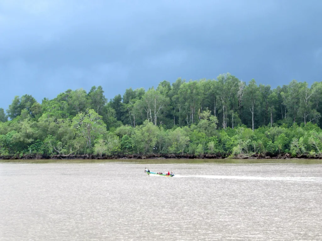 The Asewet River passes Agats, Asmat, West Papua (Irian Jaya), Indonesia, on its way to the Arafura Sea.