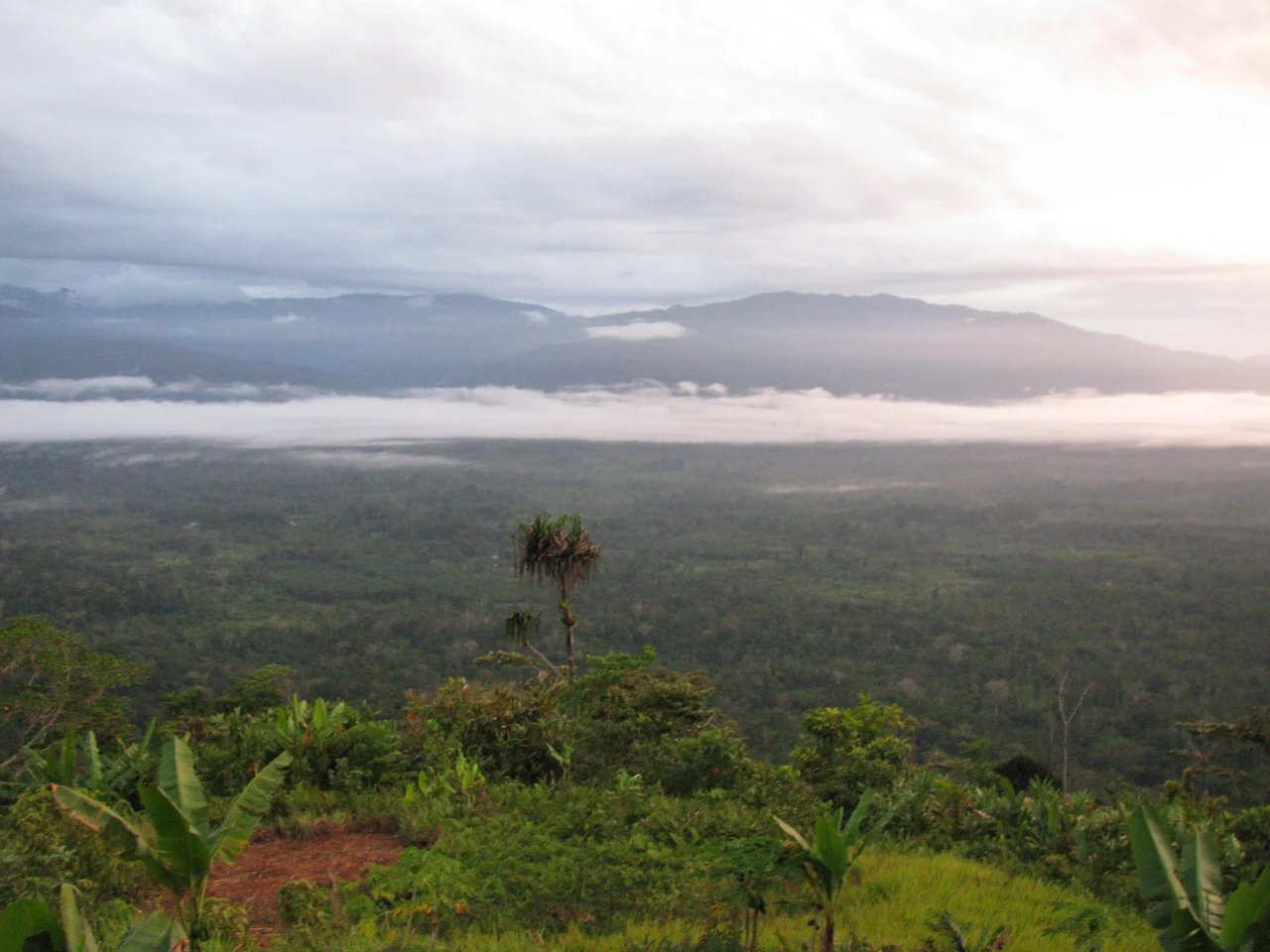 Early morning at Alola, Kokoda Track, Papua New Guinea. Photographed on Day 3 of Trek - 8 September 2008.
