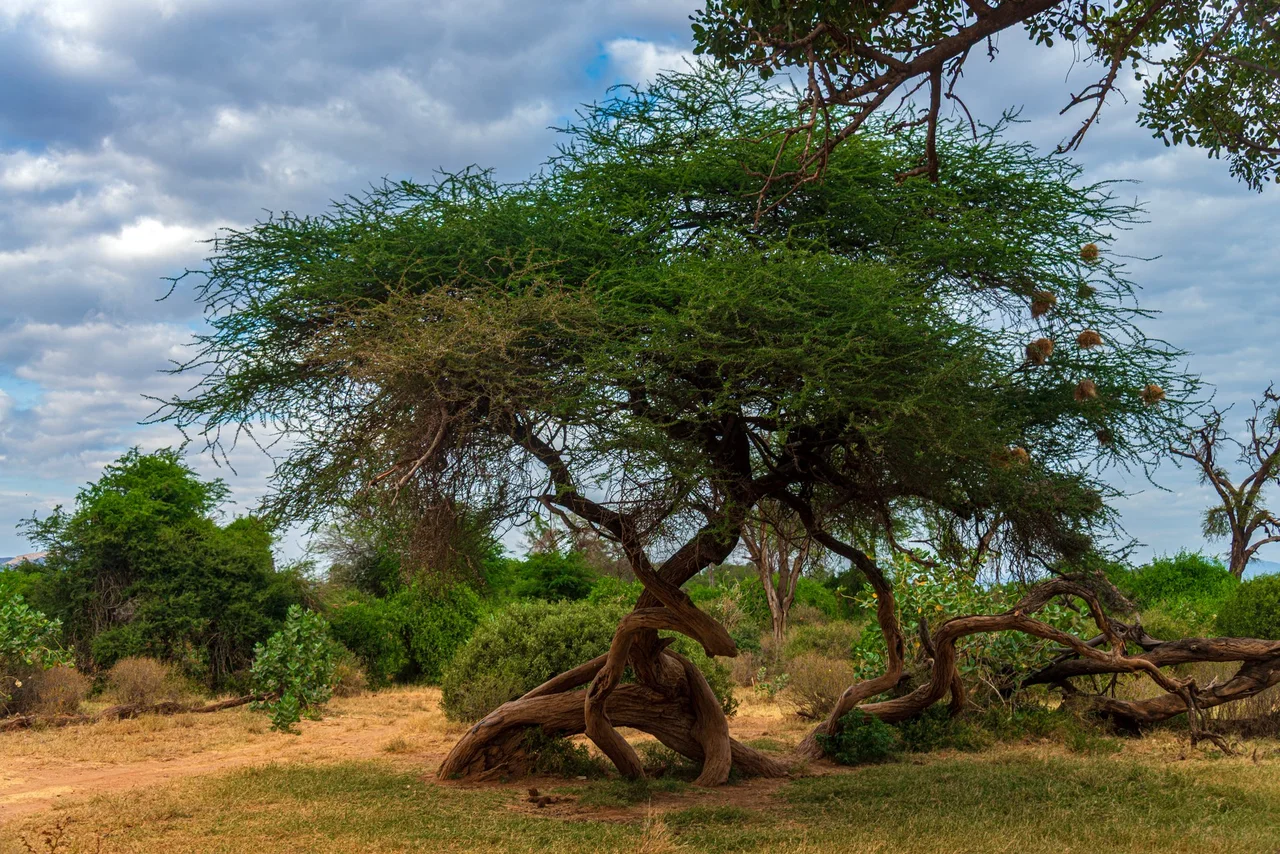 Mt Ololokwe – Old Africa’s Mystery Mountain