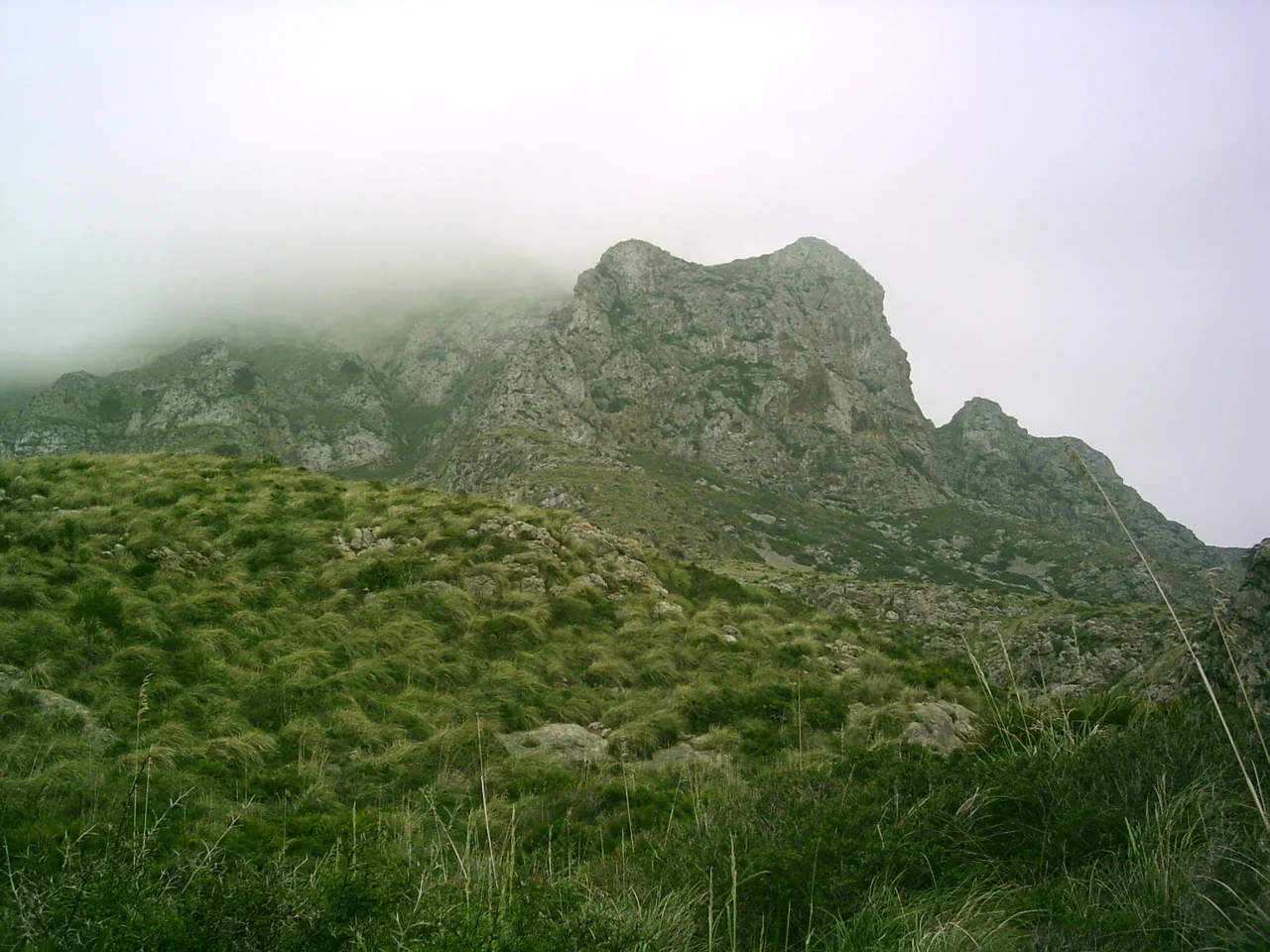 Beschreibung:
mountains by de:Artà, Mallorca, Spain
Quelle:
Fotografiert im März 2006
Fotograf:
Alma