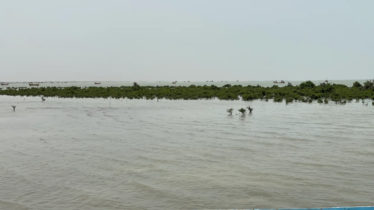 Mangroves and fishing boats at Sonmiani Bay near Damb