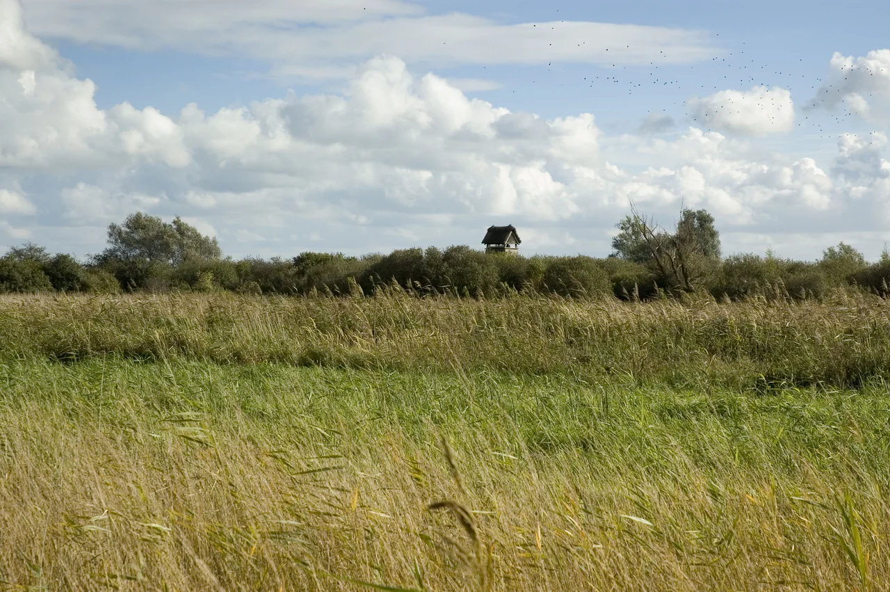 Wicken Fen showing one of the many hides on the fen.
Photographed by Paul Tuli on 23rd October 2005.
