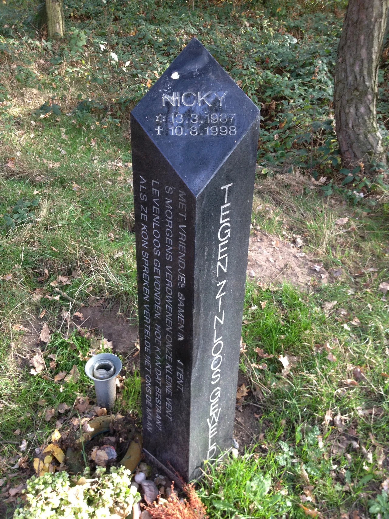 herdenkingsmonument Nicky Verstappen op de Brunssummerheide