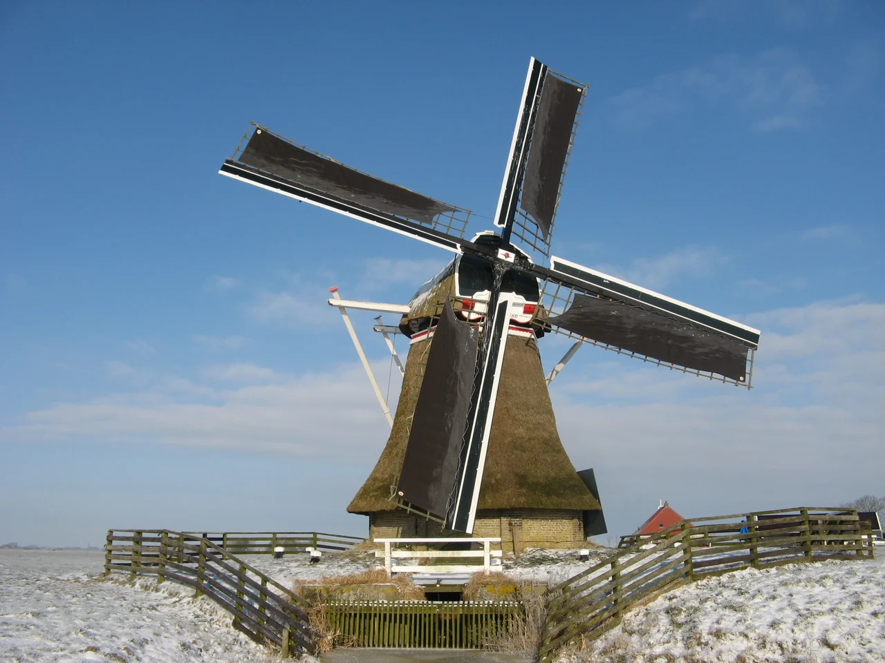 Steenhuistermolen winter 2012