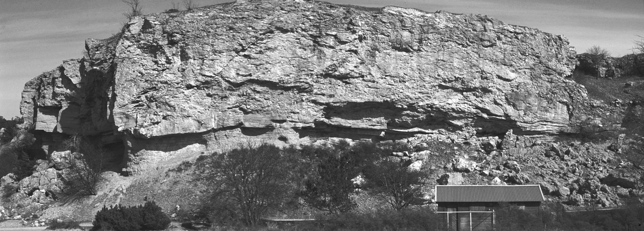 Silurian reef complex on Gotland, Sweden.
If I recognise this correctly, the reef is part of the Sundre formation, and overlies the beds of the Hamra formation. (Smith609 (talk))