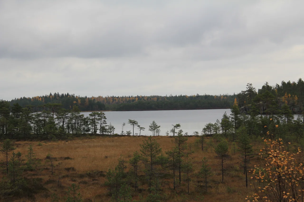 Repovesi National Park in early morning summer sun, in Kouvola, Finland