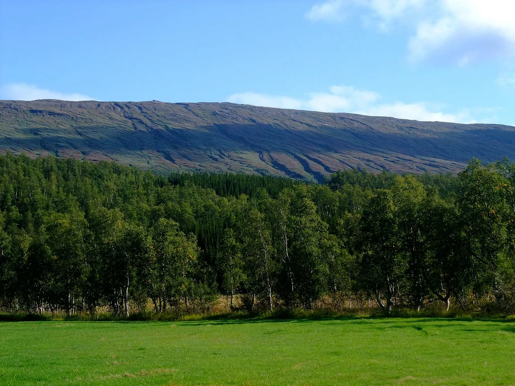View towards Storfjellet mountain; Junkerdal National Park.