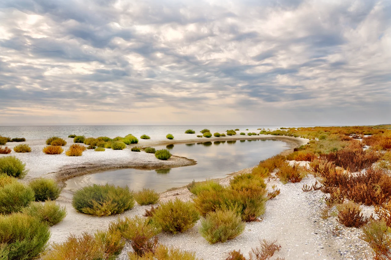 Kinburn sandbar, Ochakiv Raion, Mykolaiv Oblast, Ukraine