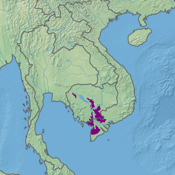 Ecoregion IM0165 - Tonle Sap-Mekong peat swamp forests (in purple)