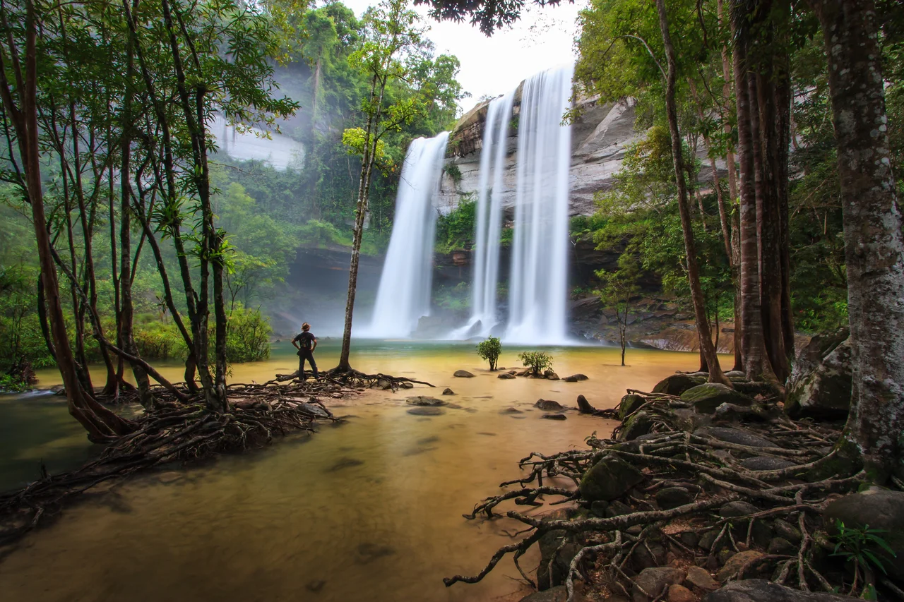 อุทยานแห่งชาติภูจองนายอย