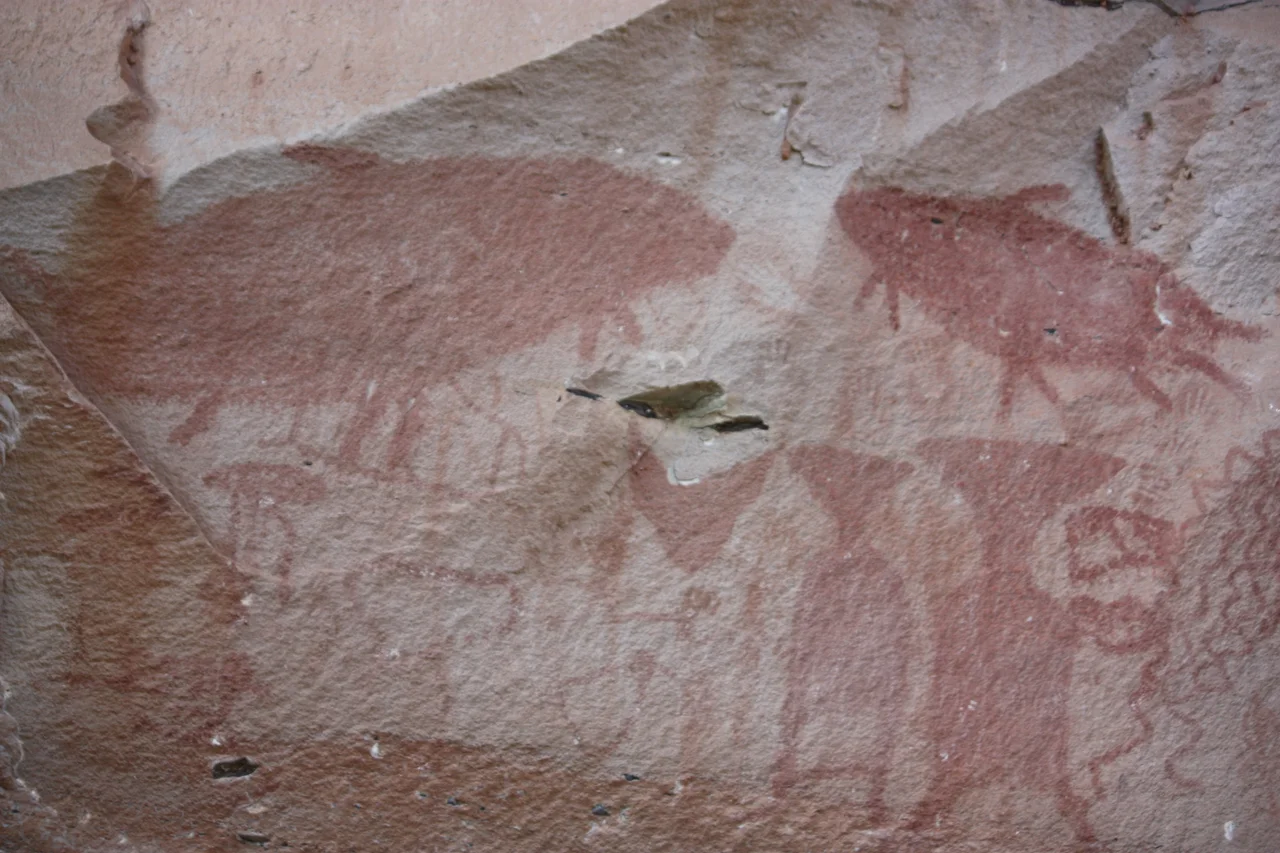 Pha Taem National Park - Rock art includes both humanoid and animal figures like the Giant Mekong Catfish
Own work December 2010.