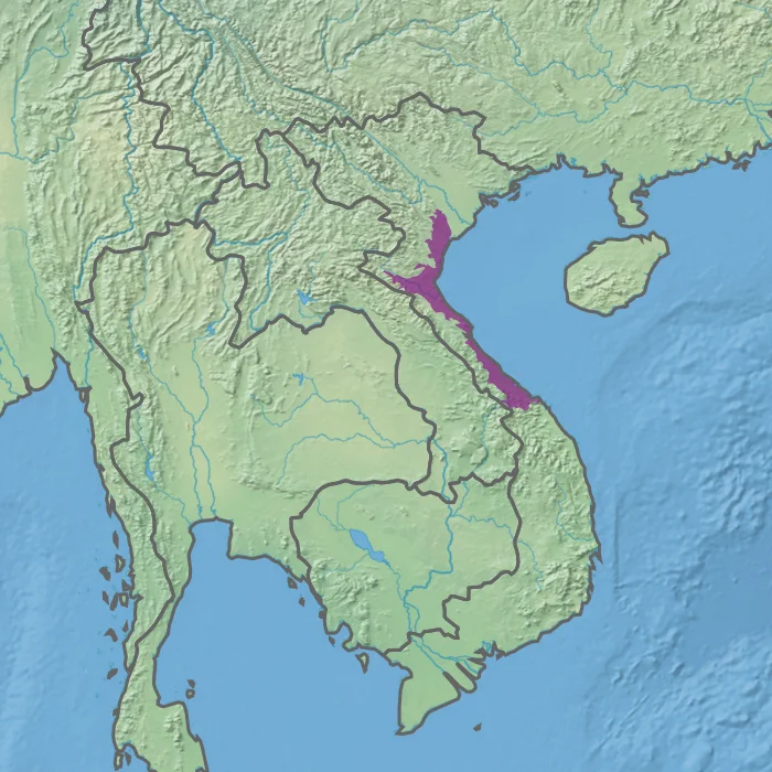 Ecoregion IM0141 - Northern Vietnam lowland rain forests (in purple)