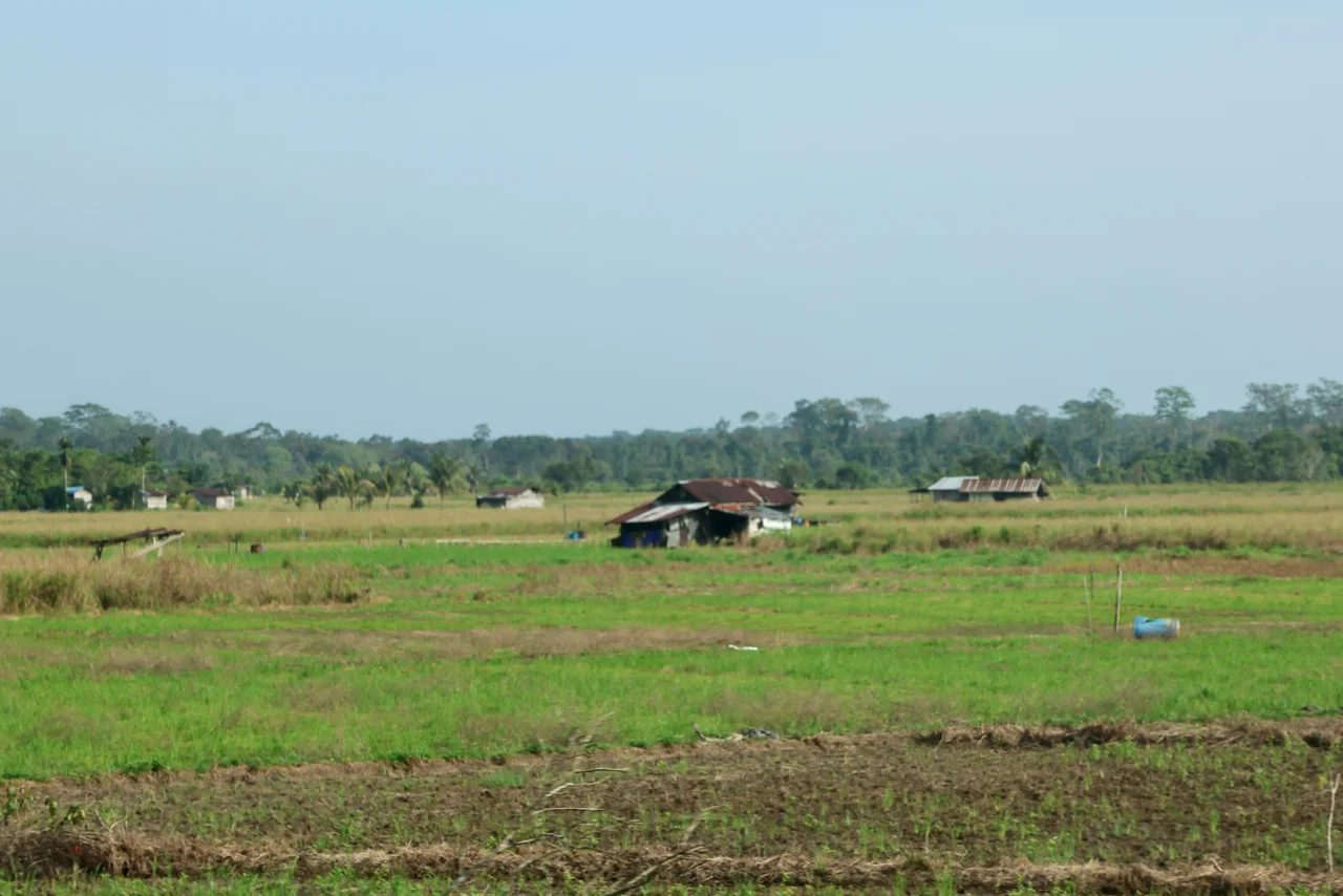 Temburong on 27 July 2023.