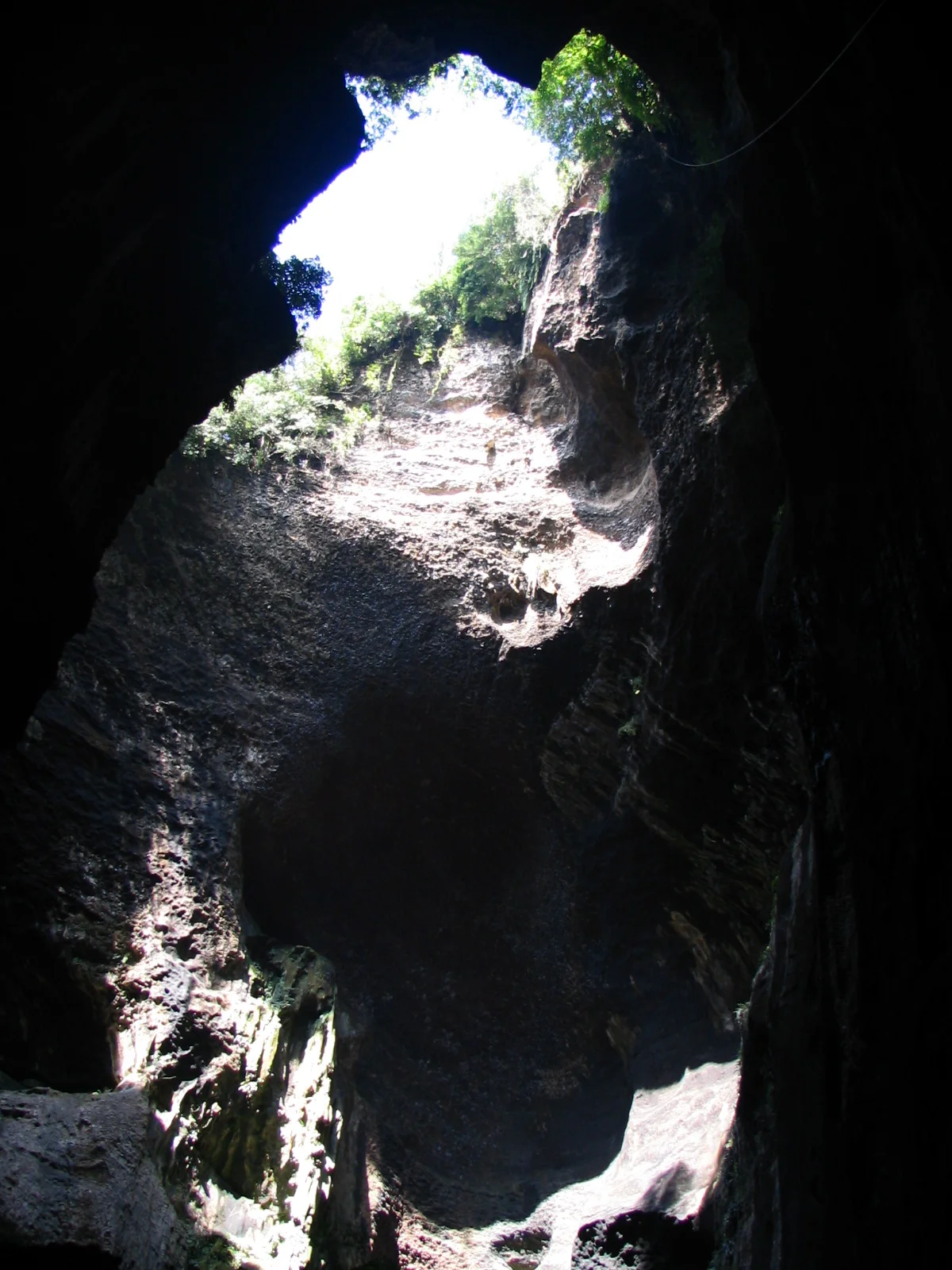Gomantong cave, walls are covered with swallow nests, some black and some white.