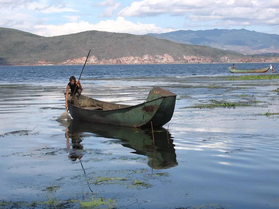 lashi wetland (拉市海湿地), 丽江, Yunnan China.
Taken by Ariel Steiner.